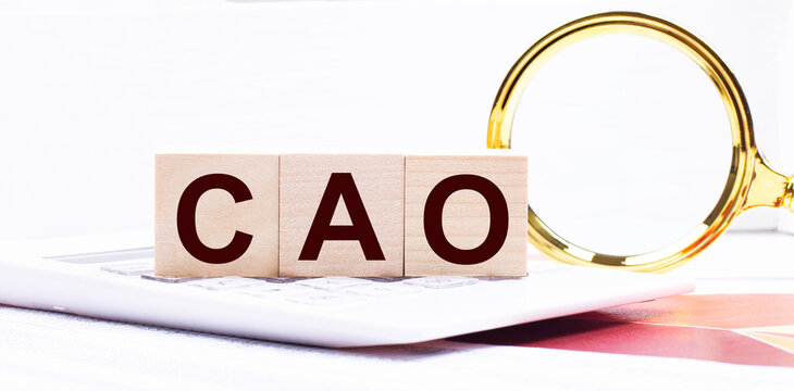 Three wooden cubes with the text CAO Chief Accounting Officer stand on a white calculator near a magnifying glass. Business concept