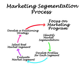 Components of Marketing Segmentation Process