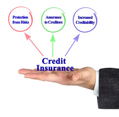 Three Functions of Credit Insurance
