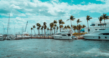 boats in the port palms tropical coconut grove 