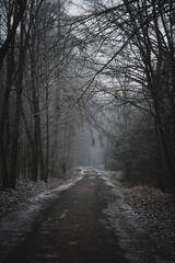 Fototapeta na wymiar mystemysterious view of fog in the woods with snow covered roadrious view of fog in the woods