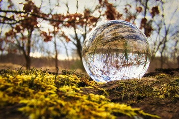 Lensball - Natur - Kristallkugel - Transparenz - Zerbrechlich - Ecology - Crystal Glass Sphere -...