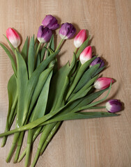 Lots of beautiful fresh purple and pink tulips lie on a brown wooden table. Image for your creative design or illustrations.