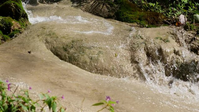 View Of Bua Tong Sticky Waterfall In Chiang Mai, Thailand