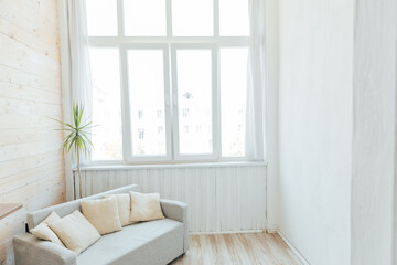 sofa and green plant in a bright room by the window interior