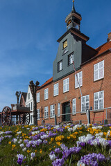 Schifferhaus in  Tönning zur Krokusblüte im Frühling.