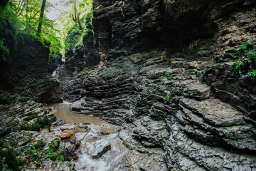 mountain stream among the rocks in the forest in nature journey hiking