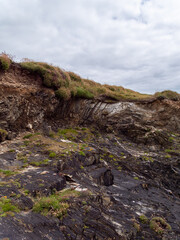 Rocky Irish soil covered with dense wild vegetation. Cloudy sky over a rocky cliff.