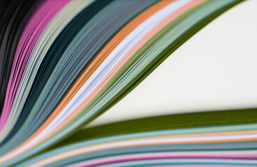 Selective soft focus Abstract color wave strip paper on white background.