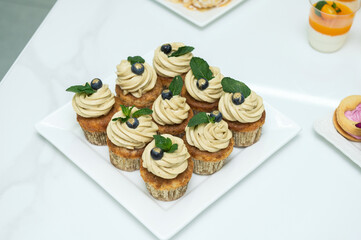 Cupcakes with cheese pistachio cream in a candy bar decorated with blueberries and mint