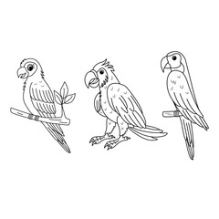 A Set of Bright Cartoon Parrots for Pages Coloring. Vector Illustration of Tropical Cute Parrots