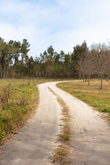 Fototapeta na wymiar Rural empty road in Portugal