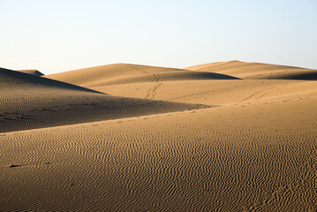 The Maspalomas Dunes, Gran Canaria, Spain