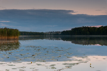 Jezioro Postne w okolicy miejscowości Barnówko, Natura 2000 - obrazy, fototapety, plakaty