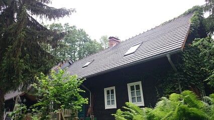 House, nature, green, forest, trees at mittweida, germany