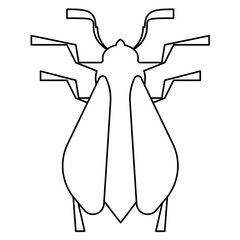 Moth icon. Outline illustration of moth vector icon for web