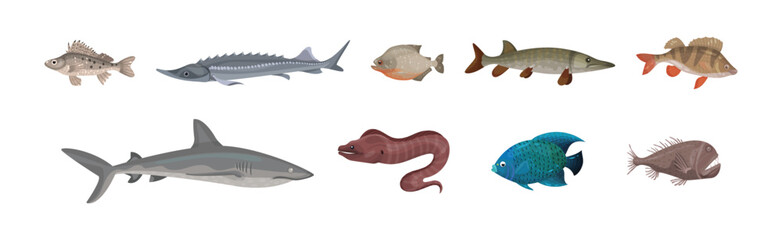 Fish from Deep Sea as Gill-bearing Aquatic Animals Vector Set