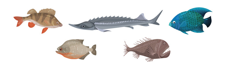 Fish from Deep Sea as Gill-bearing Aquatic Animals Vector Set