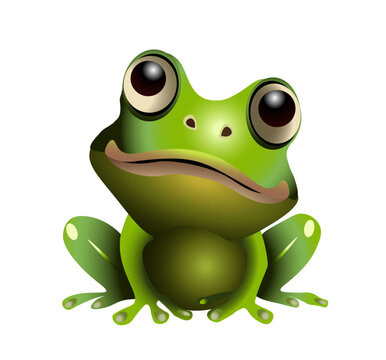 Green cartoon frog on a white background. Vector illustration