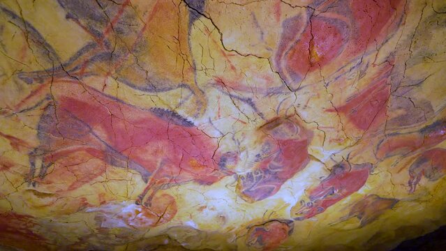 Paleolithic rock art in the Polychrome room in the Altamira Neocave. Santillana del Mar. Camino de Santiago. Cantabria. Spain. Europe
