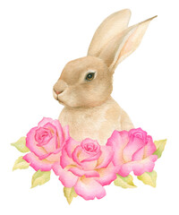 Rabbit, Watercolor cute bunny and roses on a white background, floral postcard animal