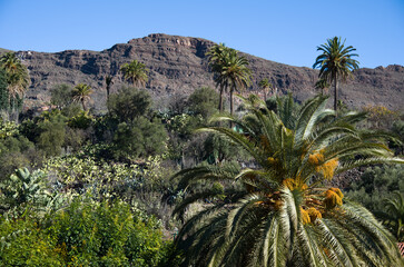 Fototapeta na wymiar Santa Lusia village, Gran Canaria, Spain