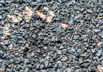 Macro of hail damage on a shingle residential roof circled with a chalk outline during a home...