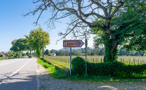 road trip countryside portugal