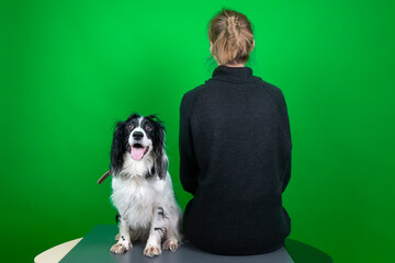 Adorable and cute Russian Spaniel dog and her owner turned her back to her. Isolated on green background, copy space.