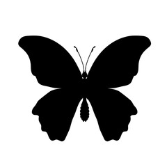 butterfly silhouette - vector illustration