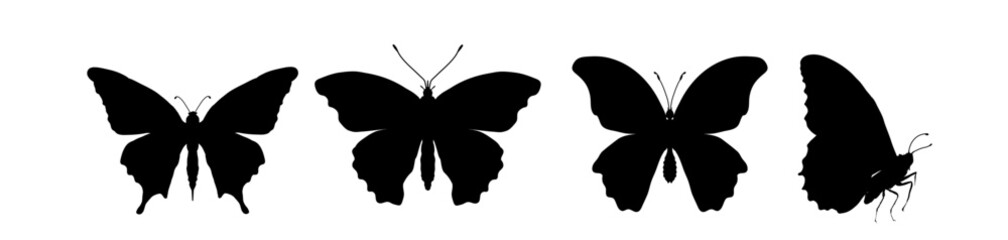 Set of butterfly silhouettes