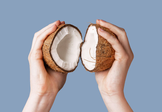 Hands with split broken coconut, two halves of coco nut fruit in brown shell with ripened flesh