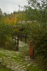 autumn. bridge on the water. naturally