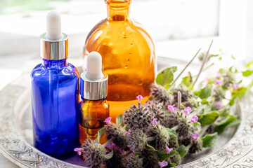 Flowers Wild basil , Clinopodium vulgare or Satureja vulgaris close-up near cosmetic bottles with a pipette and oils made from medicinal herbs.