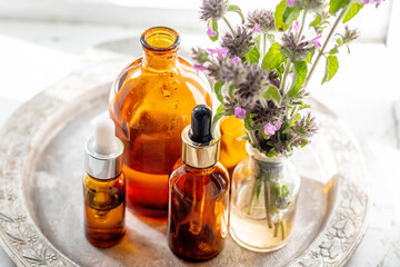 Flowers Wild basil , Clinopodium vulgare or Satureja vulgaris close-up near cosmetic bottles with a pipette and oils made from medicinal herbs.