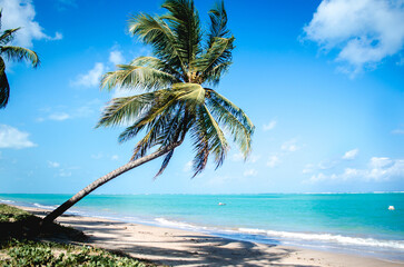 Praia de Maragogi - Maceio\AL