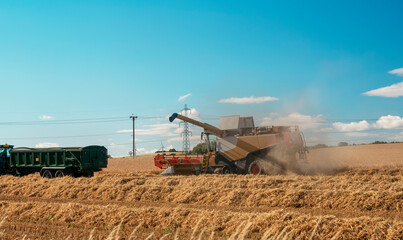 Wheat harvesting in the summer season by a modern combine harvester with a dramatic sky and rainbow...