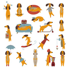 Comic Brown Dachshund Dog Engaged in Different Activity Big Vector Set