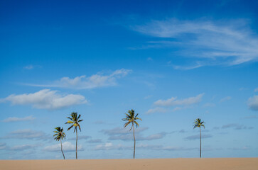 Foz Rio São Francisco - Alagoas