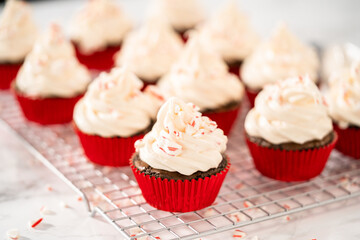 Chocolate peppermint cupcakes