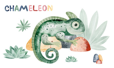 Watercolor illustration of a chameleon  . Children's illustration of an animal. Learning card.
