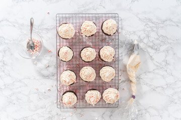 Chocolate peppermint cupcakes