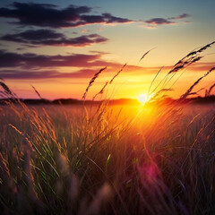 Beautiful sunset in the fields - beautiful desktop backround