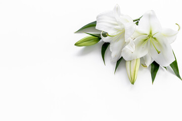 Naklejka na ściany i meble White liles flowers. Mourning or funeral background. Floral mock up