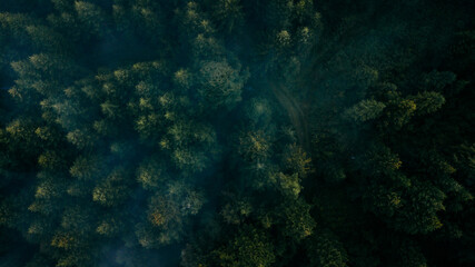 Beautiful view of a mountains. Bieszczady mountains, Poland.