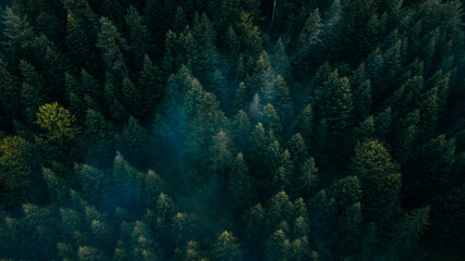 Beautiful view of a mountains. Bieszczady mountains, Poland.