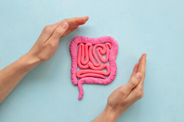 Human intestines colon organ shape with woman hands. Bowel disease concept