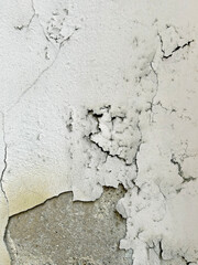 Wall with mold and peeling paint