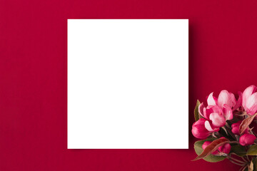 Happy mother's day, women's day or birthday background. Floral flat lay minimalism greeting card. mockup. Beautiful natural flowers on a plain background.	
