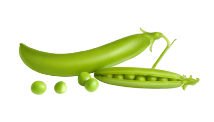 Two big pea pods close up isolated on transparent background. Many small scattered green peas. Bright cut out vegetable composition. Cafe menu, advertising layout design. Canned food packaging element